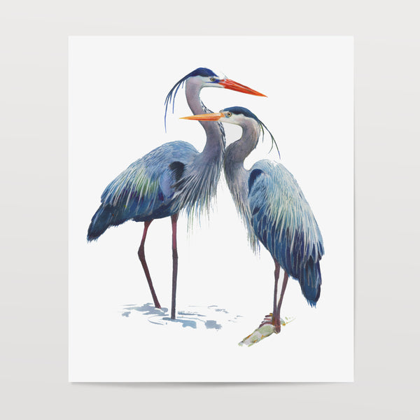 Art of Nature Heron Print