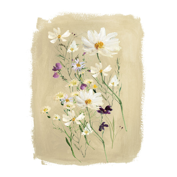 Summer's Daisy