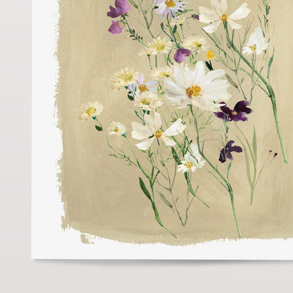 Summer's Daisy