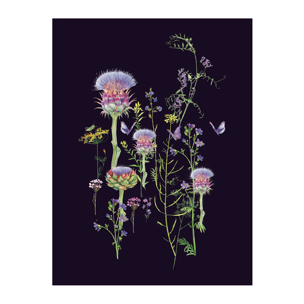 Artichoke Thistle Print