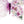 Floral Butterfly Print