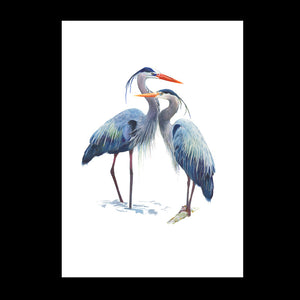 Art of Nature Heron Print