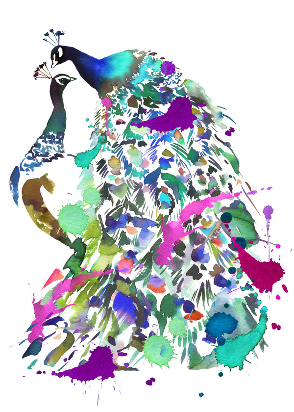 Peacock Print - Limited Edition