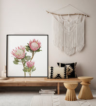 Load image into Gallery viewer, Protea Print